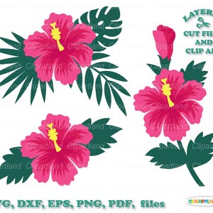 Może przedstawiać: Warstwowe pliki do cięcia i grafika wektorowa różowych kwiatów hibiskusa z zielonymi liśćmi. Tekst "Warstwowe pliki do cięcia i grafika wektorowa" jest w kolorze turkusowym.