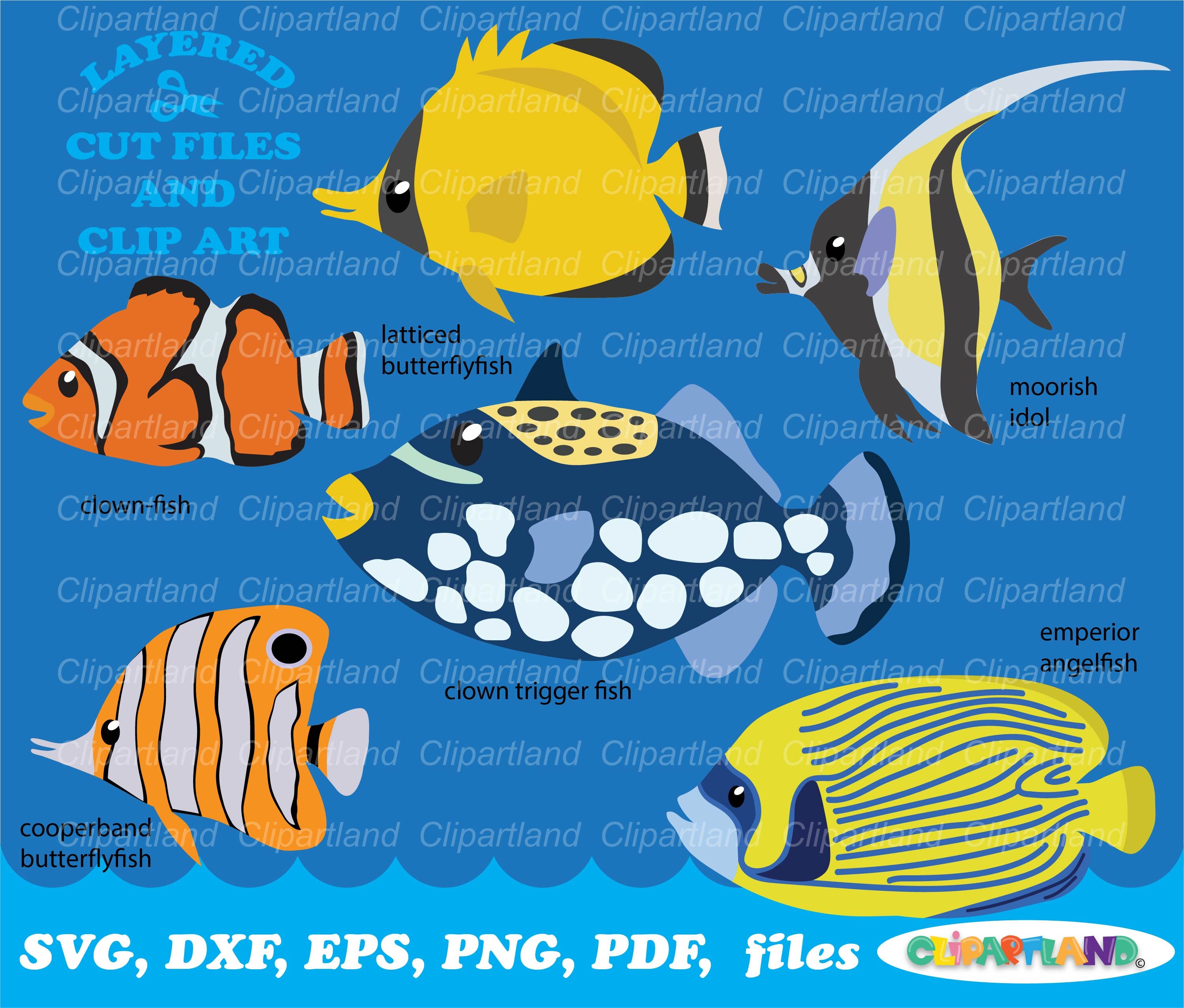 Sea Fish SVG Cut File & Clipart (commercial Use) - Etsy