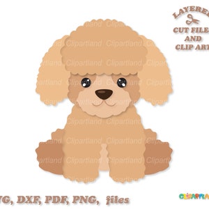 Descarga instantánea. Lindo archivo de corte francés caniche cachorro perro svg. Uso personal y comercial. P_11.