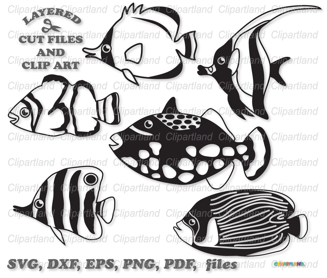 INSTANT Download. Sea Fish Svg Cut File and Clip Art. Commercial