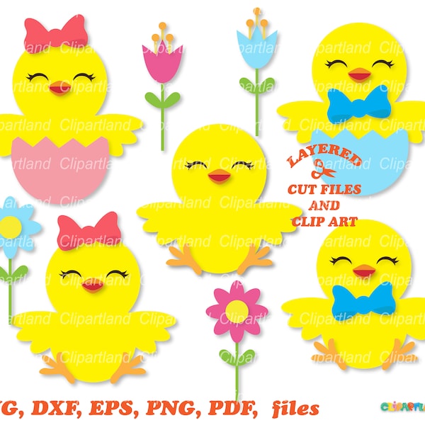 INSTANT Download. Cute Easter chick boy cut files and clip art. Commercial license is included! C_30.