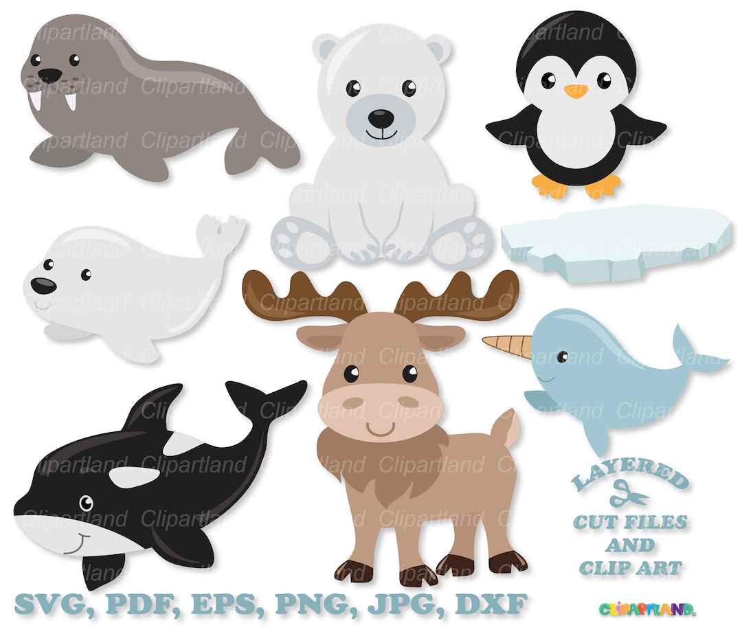 INSTANT Download. Cute Arctic Animals Svg Cut File and Clip Art. A_2 ...