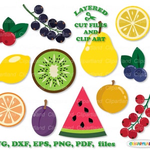 INSTANT Download. Summer juicy delicious fruits and berries cut file and clip art. Personal and commercial use. F_3.