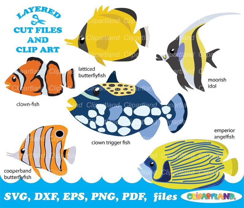 INSTANT Download. Sea Fish Svg Cut File and Clip Art. - Etsy
