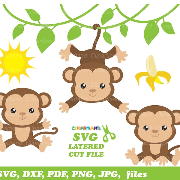 INSTANT Download. Personal and commercial use is included! Cute sitting girl monkey svg, dxf cut files and clip art. M_10.