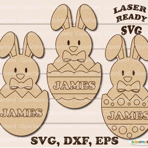 Descarga INSTANTÁNEA. Kit de pintura SVG. Kit de búsqueda de huevos de Pascua para colorear DIY de conejito de Pascua personalizado. B_48.