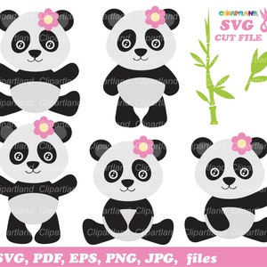 Download instantâneo. Arquivos de corte SVG de linda garota panda. Página_3. Uso pessoal e comercial.