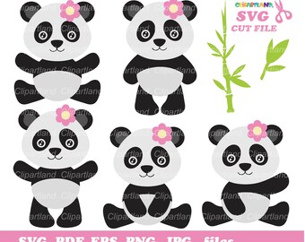 Cute Panda Svg | Etsy
