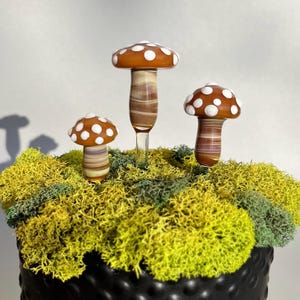 Mushroom Plant Stake SET OF 3 [buttercream with white speckled cap & silver sand]