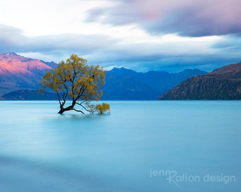 Wanaka Tree Landscape Photography, New Zealand Photo, Lake Mountain Photo, Water Photo, Nature Photography, New Zealand Fine Art Print