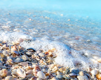 Anna Maria Island Print, Coastal Decor, Beach Photography, Beach Shells, Anna Maria Photo, Ocean Waves Photo, Anna Maria Beach