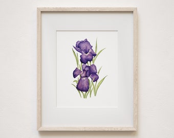 Iris Print, Iris Artwork, Floral Print, Floral Art, Garden Print, Garden Art, Purple, Purple Flower Print, Purple Flower Art