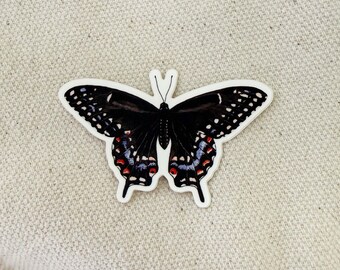 Butterfly Sticker, Watercolor Art Sticker, Nature Sticker, Wildlife Gifts