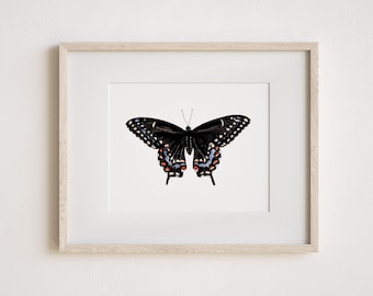 Black Swallowtail Butterfly Watercolor Print | Minimal Butterfly Art | Nature Wall Art | Botanical Illustration
