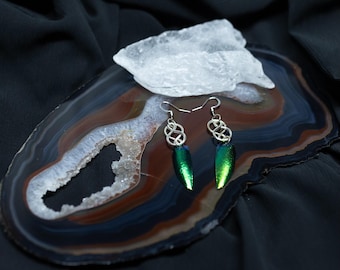 Puede incluir: Un par de pendientes colgantes con dijes de metal plateado en forma de nudo celta conectados a colgantes de alas de escarabajo de color verde metálico iridiscente. Los pendientes cuelgan de ganchos de metal plateado.