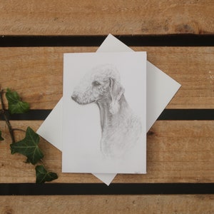 Bedlington Terrier dog card Birthday card Birthday or thank you card Card for dog Card from dog Postcard for dog lover image 1