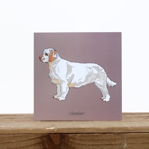 Clumber Spaniel hond kaart Verjaardag of bedankkaart Spaniel minnaar cadeau Hond wenskaart Hond vriendschapskaart Vierkante blanco kaart afbeelding 1