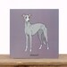 see more listings in the Dog breed cards section