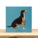 see more listings in the Dog breed cards section