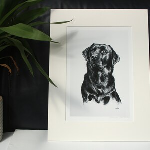 Black Labrador dog charcoal art print Gift for dog lover/groomer/vet Limited Edition dog print Lab mom or dad artwork present Mounted 12" x 16"