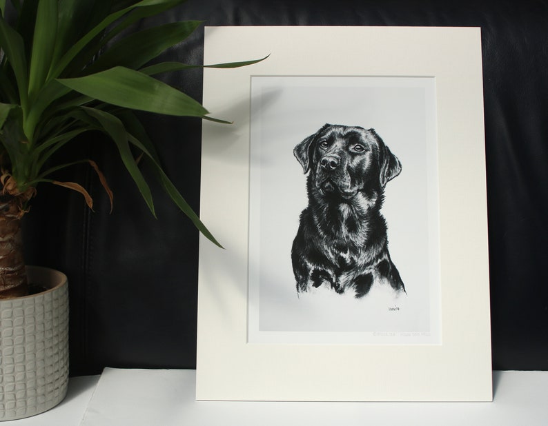 Black Labrador dog charcoal art print Gift for dog lover/groomer/vet Limited Edition dog print Lab mom or dad artwork present Mounted 12" x 16"