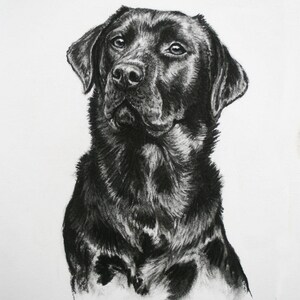 Black Labrador dog charcoal art print Gift for dog lover/groomer/vet Limited Edition dog print Lab mom or dad artwork present Print only