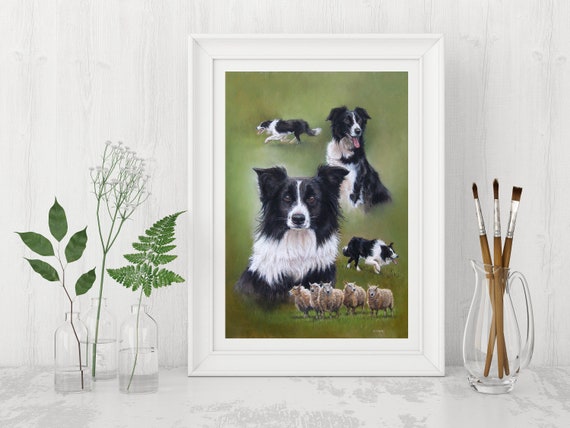 Border Collie Hund Kunstdruck Arbeiten Schaferhund Hund Etsy