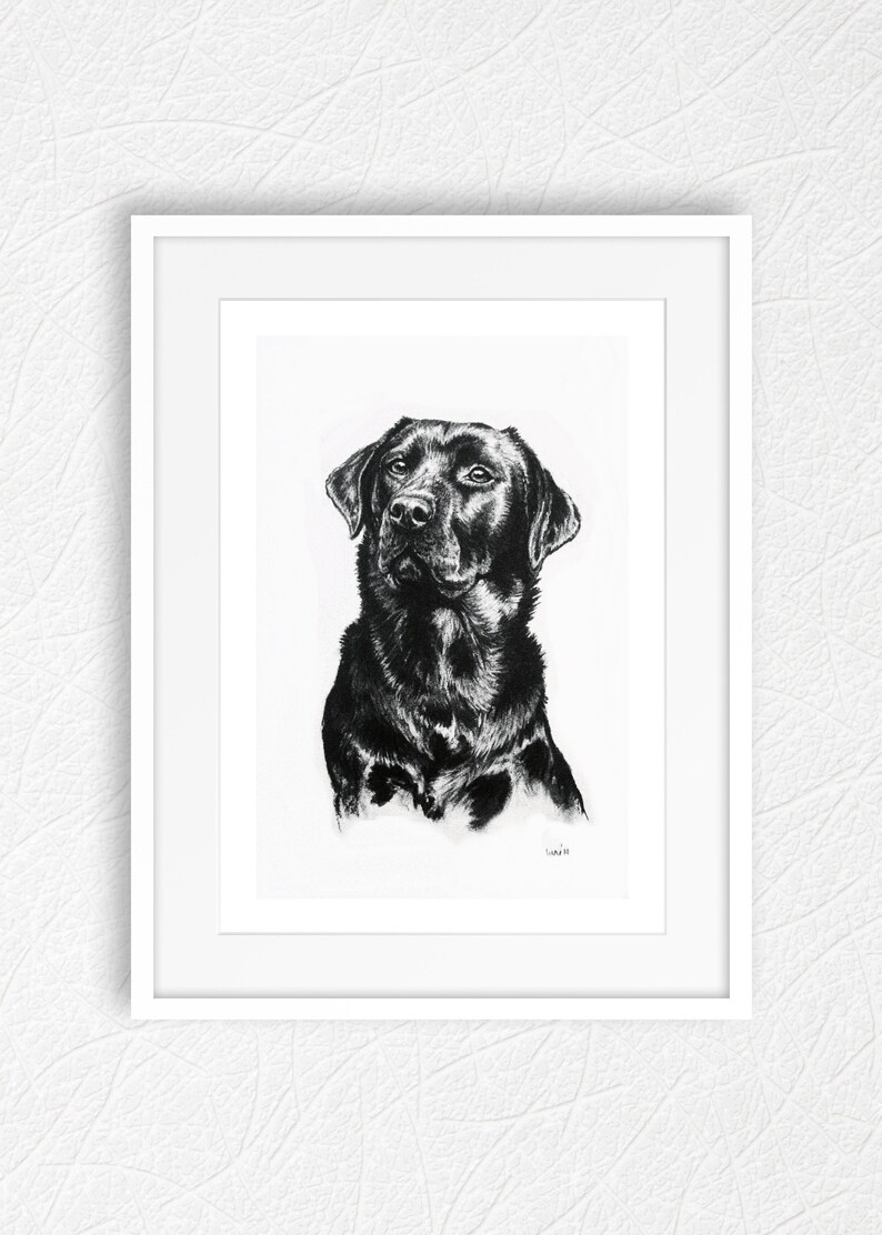 Black Labrador dog charcoal art print Gift for dog lover/groomer/vet Limited Edition dog print Lab mom or dad artwork present image 6