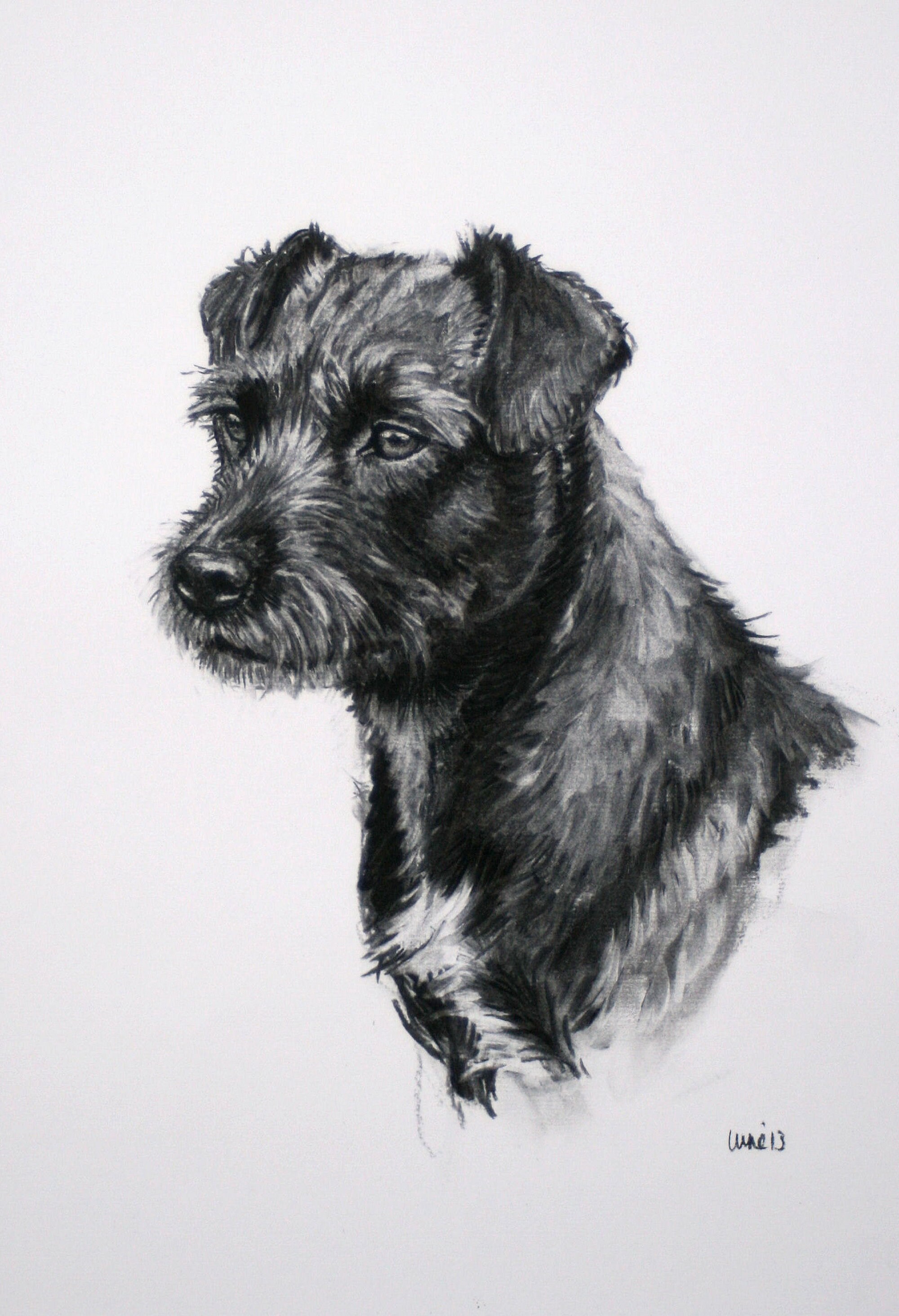 Patterdale Terrier dog wall art print Birthday gift black & Etsy