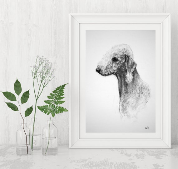 BEDLINGTON TERRIER DOG HEAD STUDY BIRTHDAY GREETINGS NOTE CARD