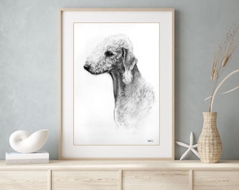 Bedlington Terrier dog print - Bedlington dog lover gift country art print - Dog wall art charcoal drawing - Available unmounted or matted