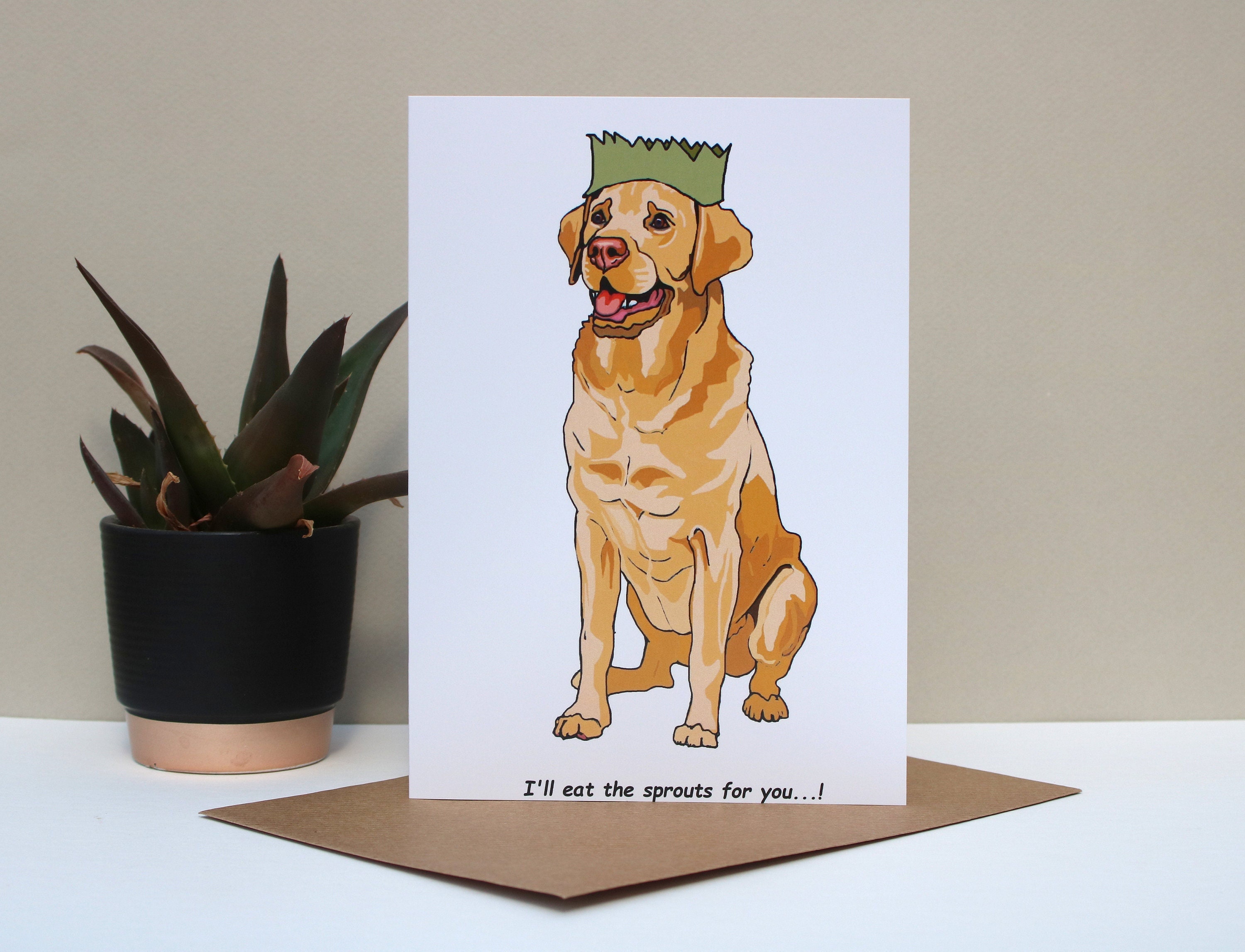 Are Dogs Allowed In Sprouts