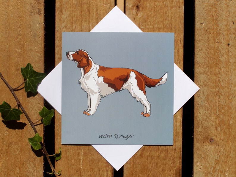 Welsh Springer Spaniel dog card Birthday or thank you card Dog mom/dad card Spaniel lover gift Square blank card Pet portrait zdjęcie 5