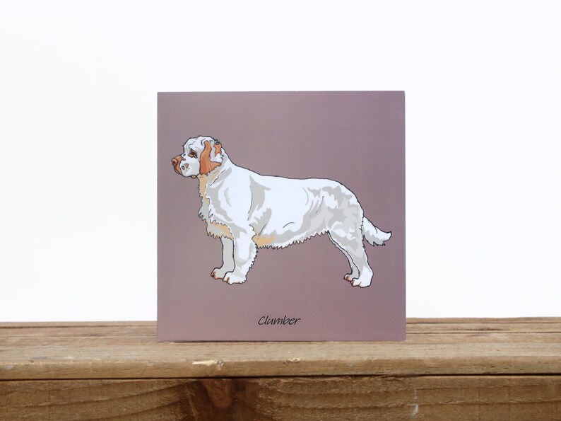 Clumber Spaniel hond kaart Verjaardag of bedankkaart Spaniel minnaar cadeau Hond wenskaart Hond vriendschapskaart Vierkante blanco kaart afbeelding 1