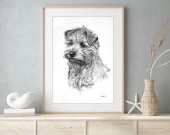 Norfolk Terrier dog print - Dog lover gift wall art - Farmhouse decor LE print charcoal drawing - Available unmatted/matted ready to frame