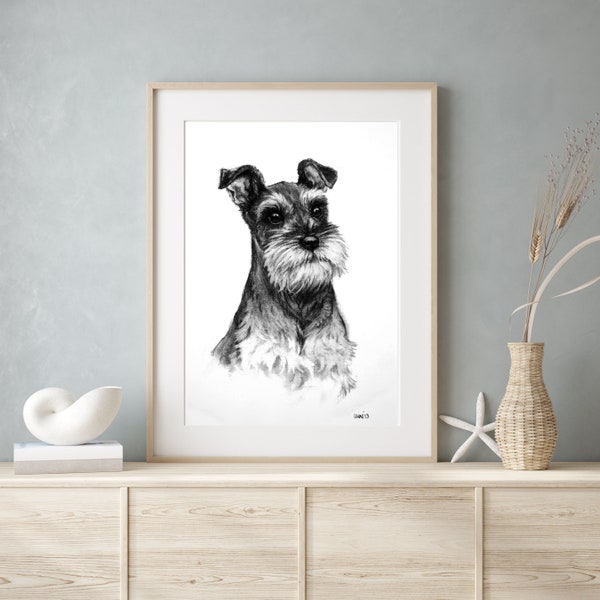 Miniature Schnauzer dog art print - Terrier dog wall art - Black & white dog lover gift - From an original charcoal sketch