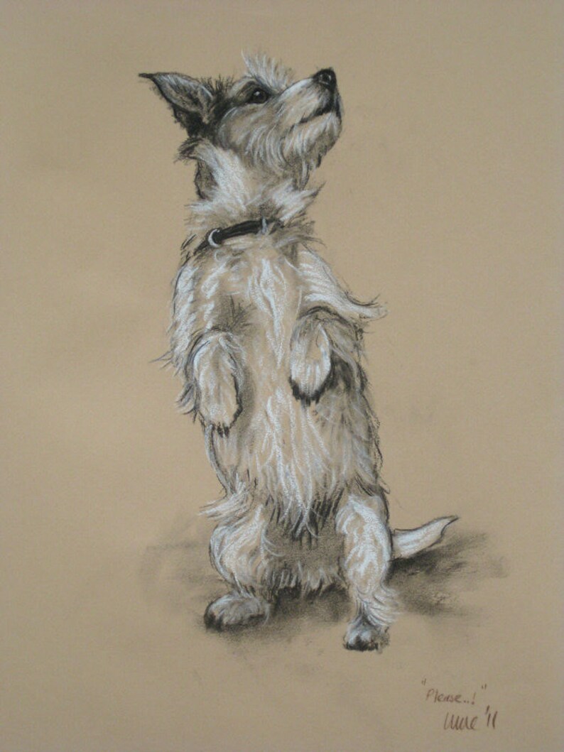 Jack Russell Terrier dog art print, Wall art dog lover gift, Country home decor pastel drawing, Available unmounted or matted ready to frame image 2