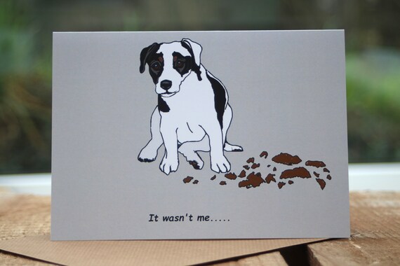 Jack Russell Terrier Funny Dog Greetings Card It Wasnt Me Cute Dog Birthday Card Ideal Gift For Dog Lover Available In Four Colours