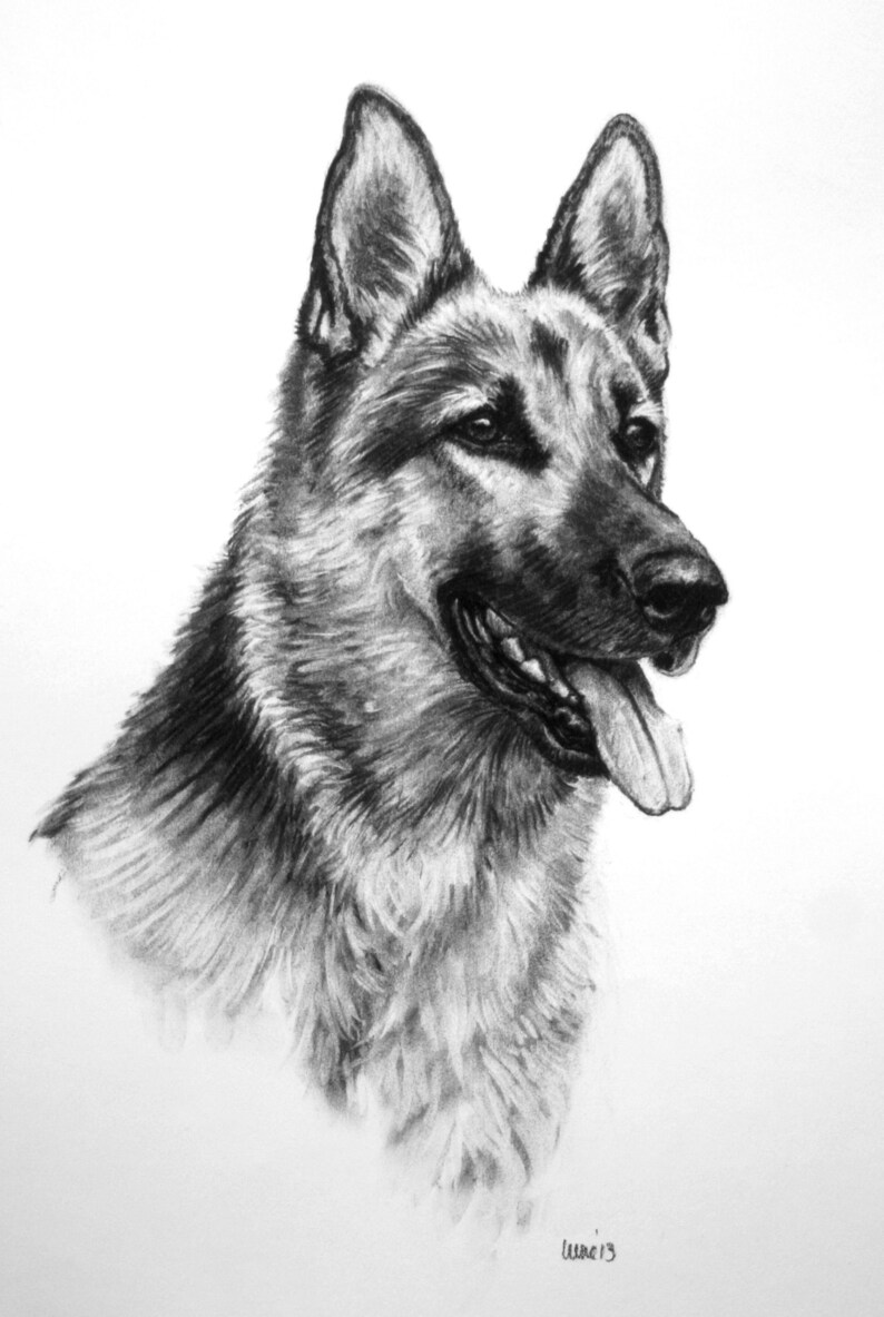 German Shepherd Alsatian Dog Print GSD Dog Lover Gift Wall - Etsy