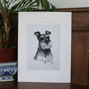 Miniature Schnauzer dog art print Terrier dog wall art Black & white dog lover gift From an original charcoal sketch image 6