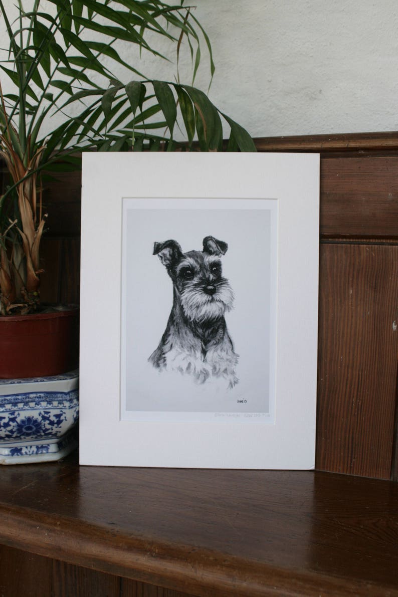 Miniature Schnauzer dog art print Terrier dog wall art Black & white dog lover gift From an original charcoal sketch image 6