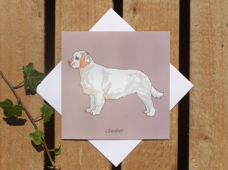 Clumber Spaniel hond kaart Verjaardag of bedankkaart Spaniel minnaar cadeau Hond wenskaart Hond vriendschapskaart Vierkante blanco kaart afbeelding 2