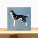 see more listings in the Dog breed cards section