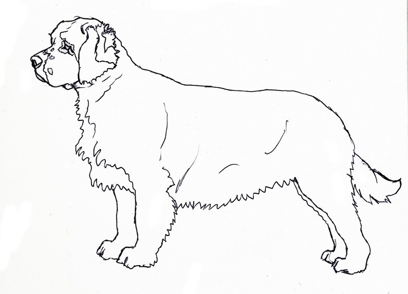 Clumber Spaniel hond kaart Verjaardag of bedankkaart Spaniel minnaar cadeau Hond wenskaart Hond vriendschapskaart Vierkante blanco kaart afbeelding 4