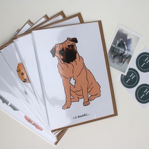 BORDER COLLIE SHEEP DOG QUALITY GLOSSY BIRTHDAY CARD 8"x6 - View #7