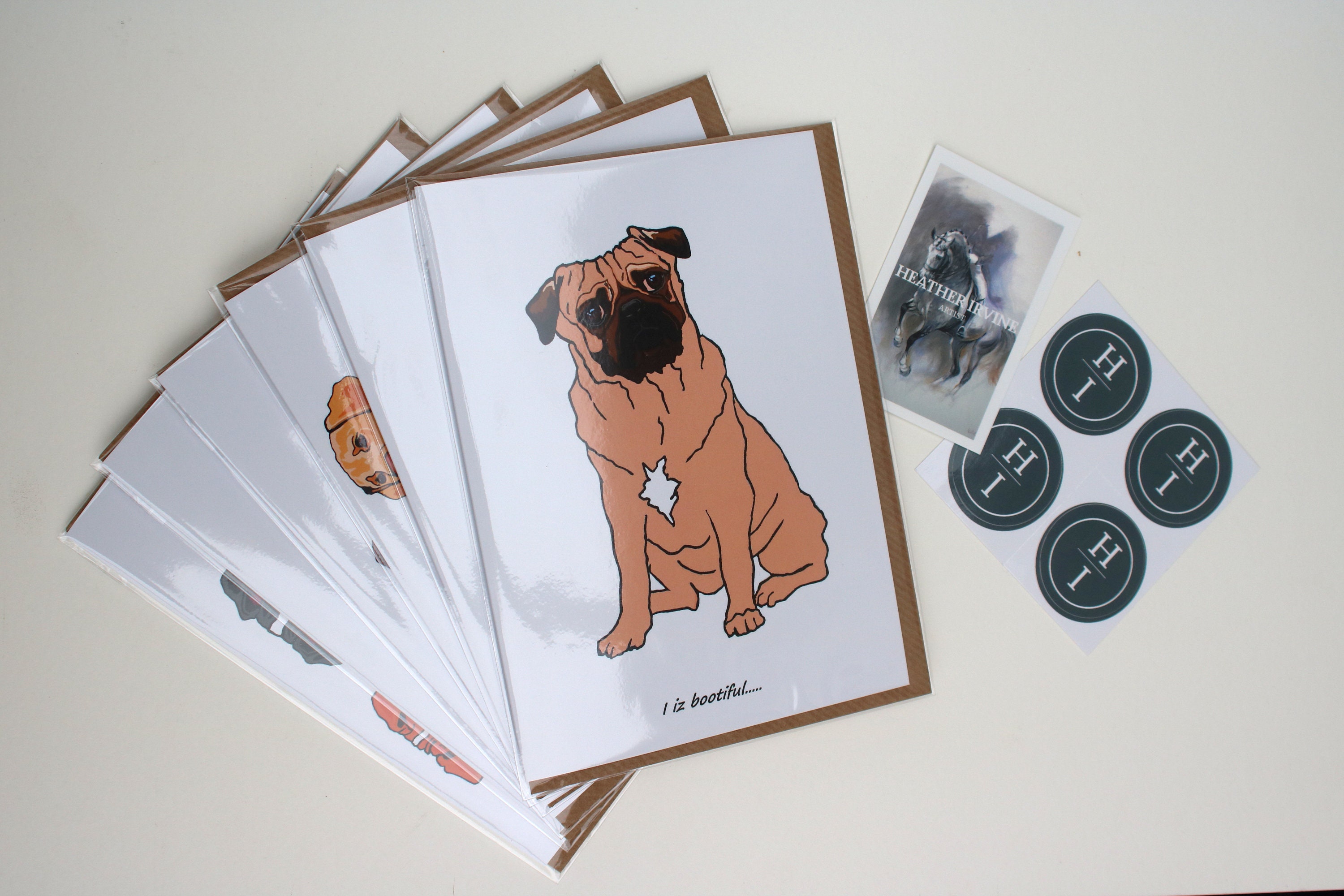 BORDER COLLIE SHEEP DOG QUALITY GLOSSY BIRTHDAY CARD 8"x6 - View #12