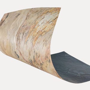 May include: A flexible sheet of wood veneer featuring a natural light tan and beige wood grain pattern on one side, which curves upward, and a solid dark gray or black matte surface on the underside, showcasing a thin, layered construction.