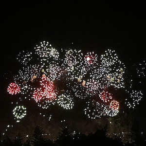 May include: A vibrant display of fireworks against a dark night sky, featuring multiple bursts of light in shades of bright red, brilliant white, and soft green, creating a dense, scattered pattern of glowing sparks above a dark tree line.