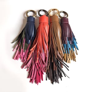Può includere: Quattro portachiavi con nappe in pelle blu navy, corallo, marrone e bordeaux. Ogni portachiavi presenta un anello in metallo dorato o nero e una cascata di pelle frangiata in vari colori, tra cui rosa, verde e blu.