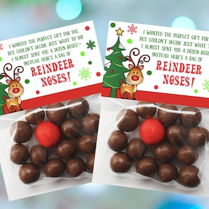Christmas Party Favor Tags Treat Bags Rendierneuzen Tas Toppers Vakantie Rudolph Afdrukbare Party Gunsten, Treat Bag Tags Instant Download